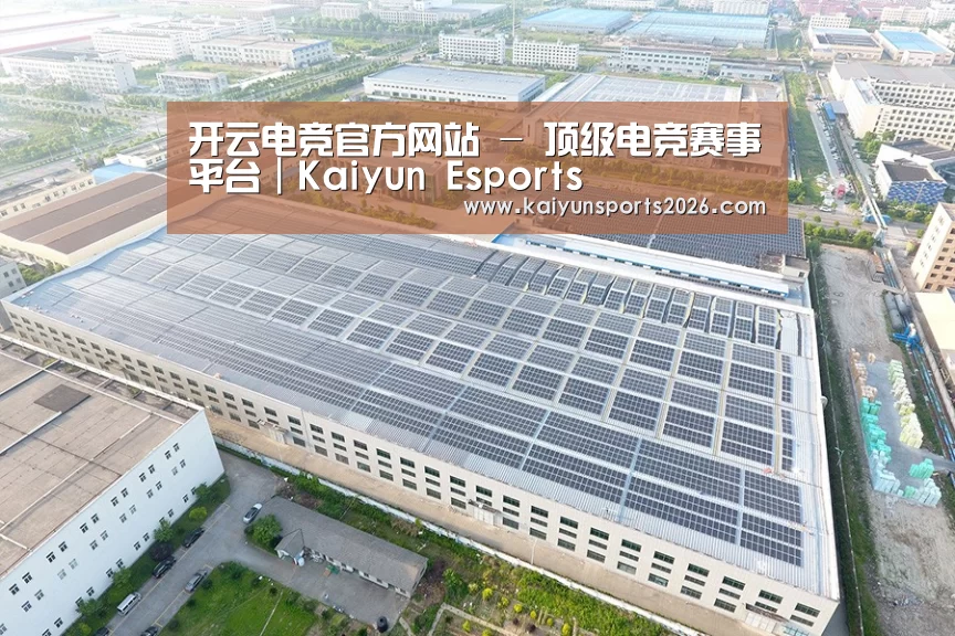 案例展示二