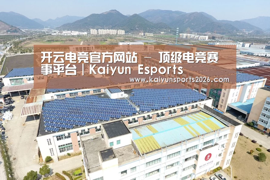案例展示四