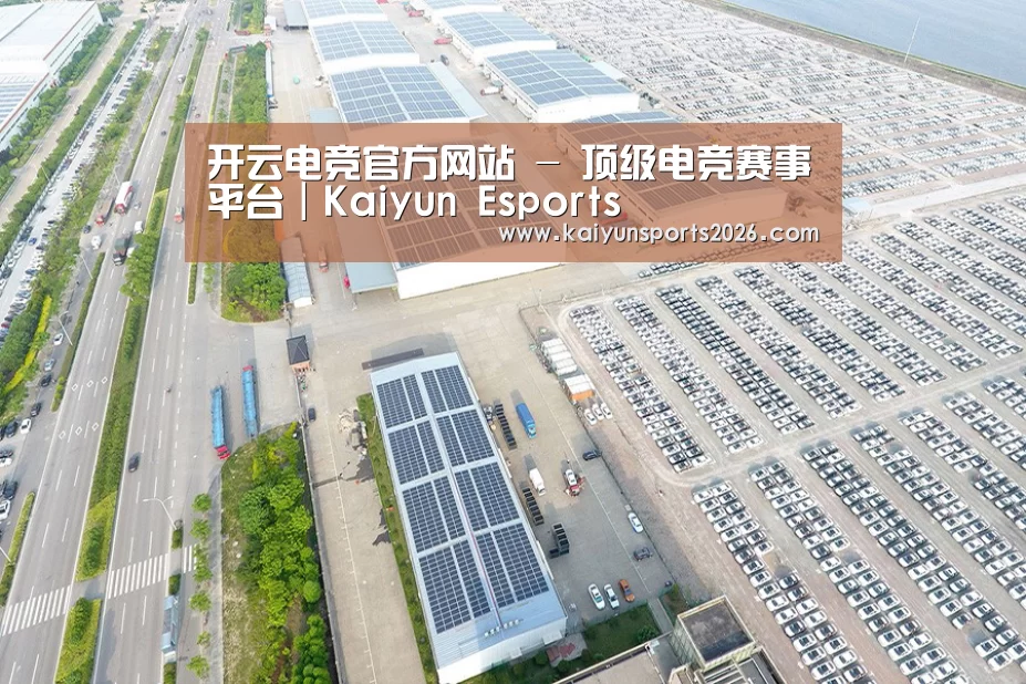 案例展示一
