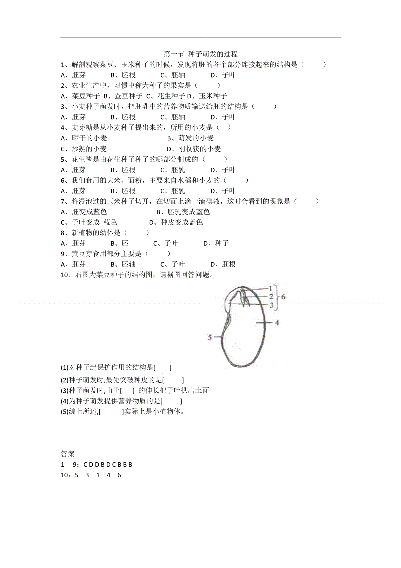 开云全站下载