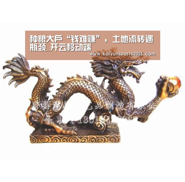 开云全站下载