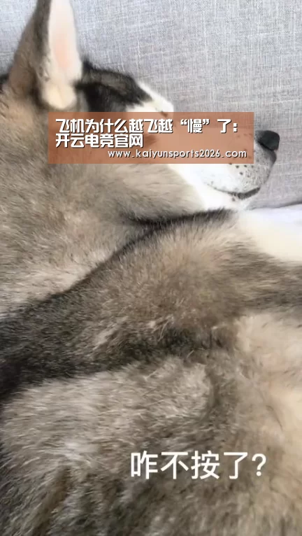 开云电竞官网
