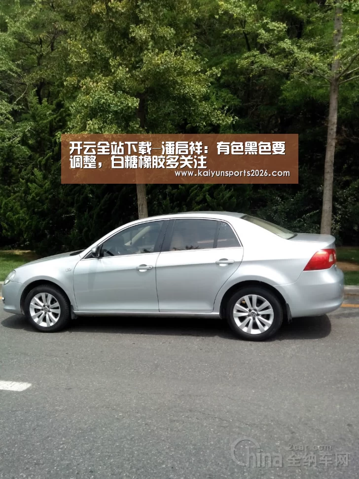 开云全站下载